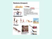 Fiziniai pratimai jaunimui 18 puslapis