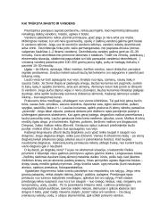 Išgyvenimas gamtoje ir kitur 3 puslapis