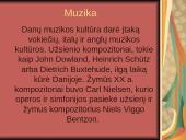 Danija tarpukario metais skaidrės 13 puslapis