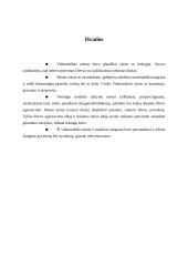 Meno samprata  viduramžiais. Tomas Akvinietis apie  grožio prigimtį 5 puslapis