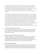 Nanotechnologijų apibūdinimas 2 puslapis