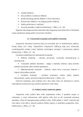 Globalizacija tarptautinio verslo kontekste 12 puslapis