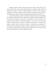 Globalizacija tarptautinio verslo kontekste 14 puslapis