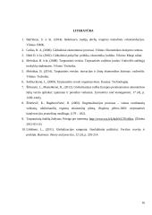 Globalizacija tarptautinio verslo kontekste 16 puslapis