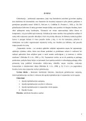 Globalizacija tarptautinio verslo kontekste 3 puslapis