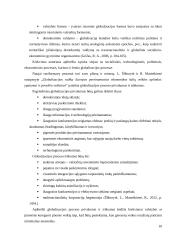 Globalizacija tarptautinio verslo kontekste 10 puslapis