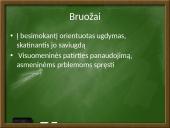 Laisvojo ugdymo sklaida 6 puslapis