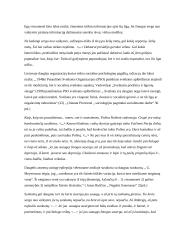 Socialinio ir medicininio modelio sąveikos epilepsijos srityje 11 puslapis