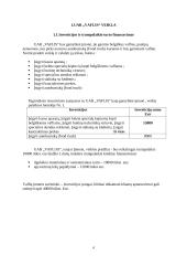 UAB "Vaflis" investicinis projektas 4 puslapis