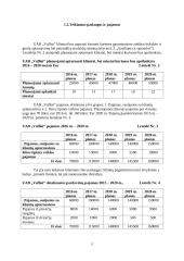 UAB "Vaflis" investicinis projektas 5 puslapis