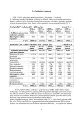 UAB "Vaflis" investicinis projektas 6 puslapis