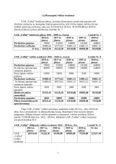 UAB "Vaflis" investicinis projektas 7 puslapis