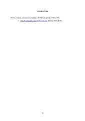 UAB "Vaflis" investicinis projektas 10 puslapis