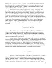Graikijos etiketas referatas 3 puslapis