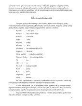 Graikijos etiketas referatas 6 puslapis