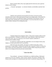 Graikijos etiketas referatas 9 puslapis