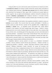 Nervų sistemos konspektas 2 puslapis