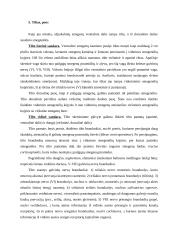 Nervų sistemos konspektas 11 puslapis