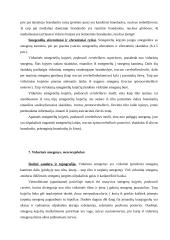 Nervų sistemos konspektas 13 puslapis