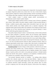 Nervų sistemos konspektas 18 puslapis