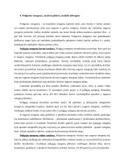 Nervų sistemos konspektas 9 puslapis