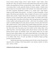 Kokius svarbius gyvenimo klausimus šiuolaikiniam žmogui kelia grožinė lietuvių literatūra? 2 puslapis
