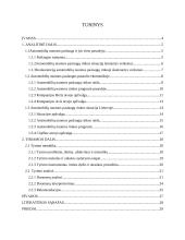 Automobilių nuoma 2 puslapis