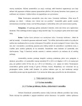 Automobilių nuoma 17 puslapis