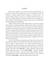 Automobilių nuoma 3 puslapis