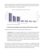 Automobilių nuoma 6 puslapis