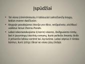 Patricia McCormick - Niekada nesuklupk. Knygos atsiskaitymas 6 puslapis