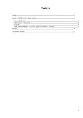 Produkto valdymo praktika organizacijoje  2 puslapis