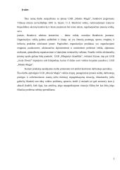 Produkto valdymo praktika organizacijoje  3 puslapis