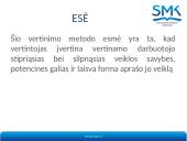 Personalo veiklos vertinimas 12 puslapis