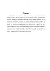 Buitinė aplinka sveikatai (valymo priemonės ir kt.) 13 puslapis