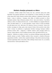 Buitinė aplinka sveikatai (valymo priemonės ir kt.) 8 puslapis