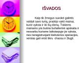 Apskaitos istorija Lietuvoje  13 puslapis