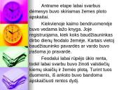 Apskaitos istorija Lietuvoje  7 puslapis