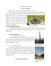 Laikrodžių raida 3 puslapis