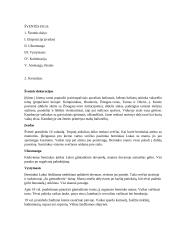 Berniuko gimtadienio scenarijus "Animaciniai herojai" 2 puslapis