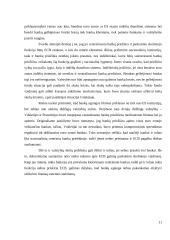 Europos bankų sajungos perspektyvos 11 puslapis
