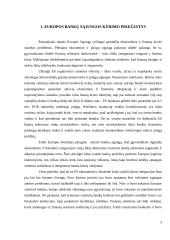 Europos bankų sajungos perspektyvos 3 puslapis