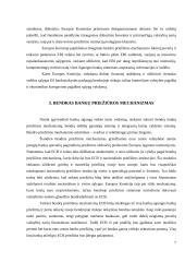 Europos bankų sajungos perspektyvos 7 puslapis