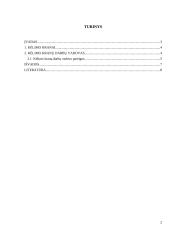 Kėlimo kranų darbo vadovo mokymo programa 2 puslapis