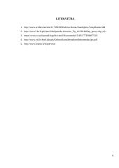 Kėlimo kranų darbo vadovo mokymo programa 8 puslapis