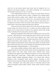 Korozija 13 puslapis