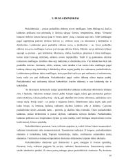 Korozija 10 puslapis