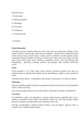 Mergaitės gimtadienio scenarijus Fėjų šalyje 2 puslapis