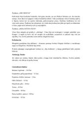 Mergaitės gimtadienio scenarijus Fėjų šalyje 3 puslapis