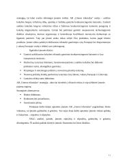 Veiklos rizikos analizė ir valdymas AB “Utenos trikotažas” pavyzdžiu 11 puslapis